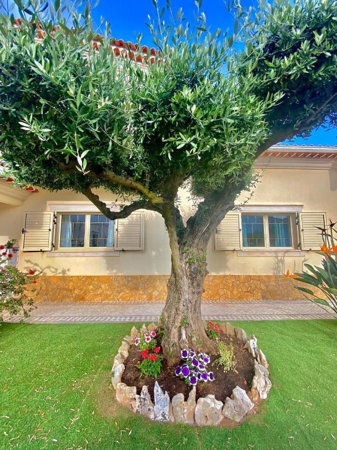 Casa Das Laranjeiras Alqueidão da Serra Eksteriør bilde